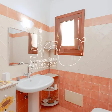 Gli Ulivi Di Nord Est *