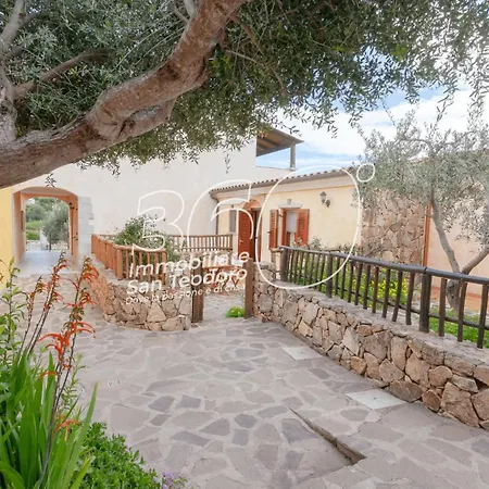 Gli Ulivi Di Nord Est